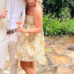 Anthro cupcake dress! Wore it for our welcome party garden party! Worn once ✨